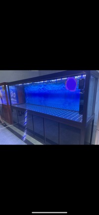 PLANET AROWANA PREMIUM AQUARIUMS - TROPICAL & MARINE TANKS