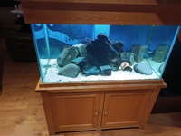 Aqua oak 3ft Tropical aquarium, full set up and fish included
