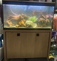 Fluval Roma 200 full set up