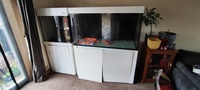 2 X Aqua One reef tanks £350ono