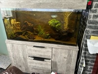 Aqua one fish tank 4ft