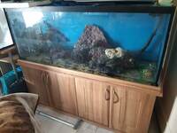 N.D 5ft Aquarium and Stand