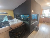 Free large fish tank free free