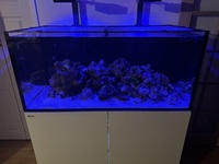 Red Sea Reefer G2 425  max spec 