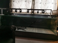 8ft custom made tank.. Water tight £350