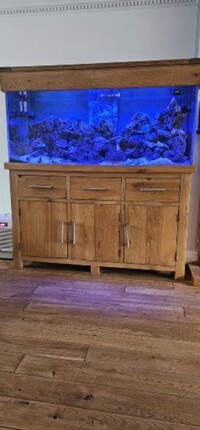 Maidenhead aquatics 5ft x 2ft x 2ft marine tank with sump & solid oak cabinet