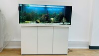 Juwel Fish tank and cabinet