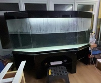 7ft Acrylic tank for sale