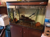 Boyu fish tank with accessories for sale