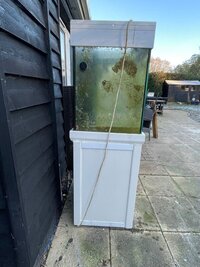 White cube tank