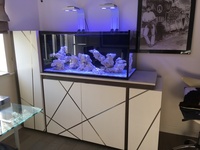 tank cabinet only £400