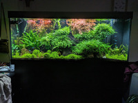 £750 - Rio 450L 5Ft Fish Tank + Cabinet