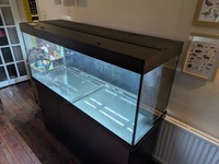 £750 - Rio 450L 5Ft Fish Tank + Cabinet