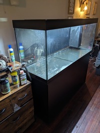 £750 - Rio 450L 5Ft Fish Tank + Cabinet