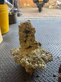 Fijian and Indonesian Rock + Show pieces