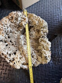 Fijian and Indonesian Rock + Show pieces