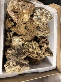 Fijian and Indonesian Rock + Show pieces