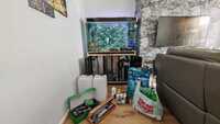 Oblong complete fish tank with Malawi fish