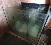 FREE 2ft Cube aquarium