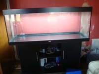 Juwel Rio 400 and Cabinet. £120 Tank sold pending collection.