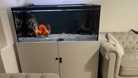 ND AQUATIC FISH TANK 4FT 400 LITRE OPTI WHITE £650