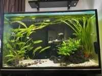40” x 18” x 24”h aquarium & equipment