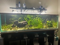 60” x 24” x 16”h braceless aquarium, equipment etc