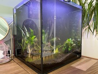 Aqua Manta Nano 35 aquarium + fish for sale