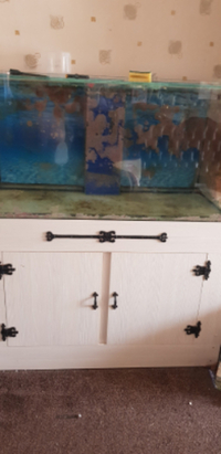 Marine aquarium and equipment