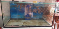 Marine aquarium and equipment