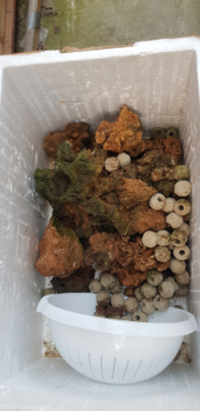 Marine aquarium and equipment