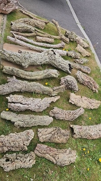 Cork bark