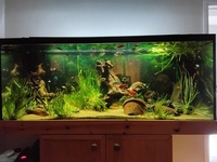 Tank & stand for sale.