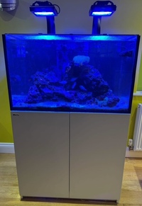 Red Sea Reefer 250 complete set up