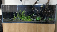 Complete Freshwater Setup - Aqua One AquaSys 395 Natural Nebraska Oak - Kessil - Maxspet
