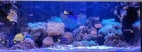 Closing tank
