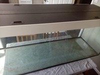 Juwel rio 5ft 450 litre fish tank Read description