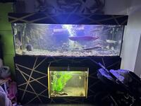 Custom two tier 6x2x2 Tank and Equipment