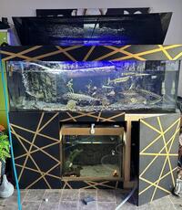 Custom two tier 6x2x2 Tank and Equipment