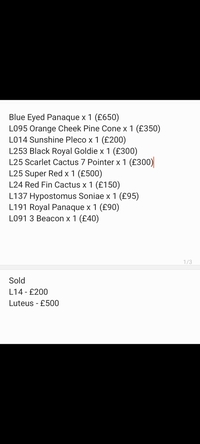 HIGH END PLECO COLLECTION