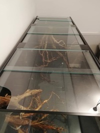 Large Aquarium