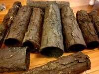 Aquadecor Standing Logs - Bark style