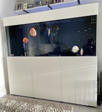 For Sale: Aquariums4Life Custom 6 foot tropical tank and sump White
