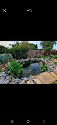 Pond Closure