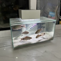 Filament Barbs x7 - £60 FOR ALL London