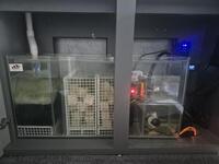 Fish Tank, Dark Grey, High Gloss Cabinet And Sump With Lots Of Extras