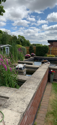 complete set for a new pond
