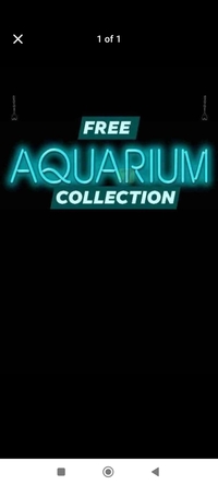 Free unwanted aquarium/ fish removal