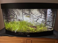 Juwel 180 Vision Aquarium