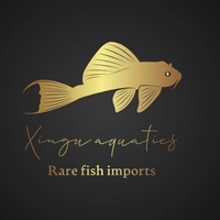 SWC Gene Hybrids Sgingrays